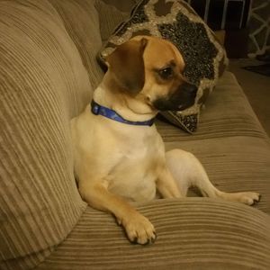 Meet your Posher, Kathleen